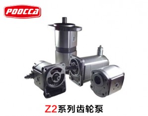 02Z系列Ronzio齒輪泵